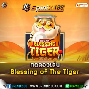 ทดลองเล่น Blessing of The Tiger