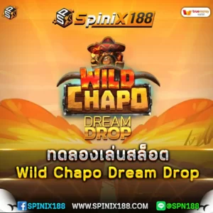 ทดลองเล่นสล็อต Wild Chapo Dream Drop